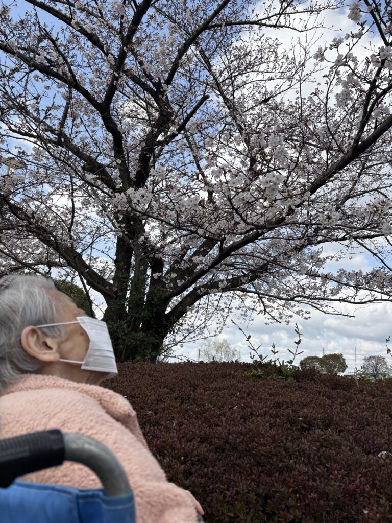 現在の画像に代替テキストがありません。ファイル名: IMG_3393-scaled.jpg