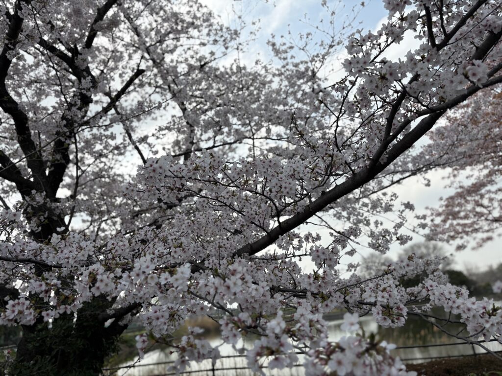 現在の画像に代替テキストがありません。ファイル名: IMG_E3408-scaled.jpg